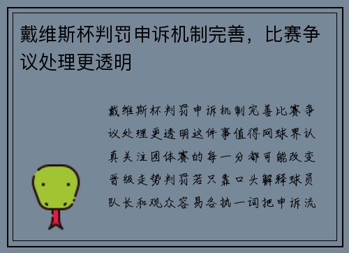戴维斯杯判罚申诉机制完善，比赛争议处理更透明